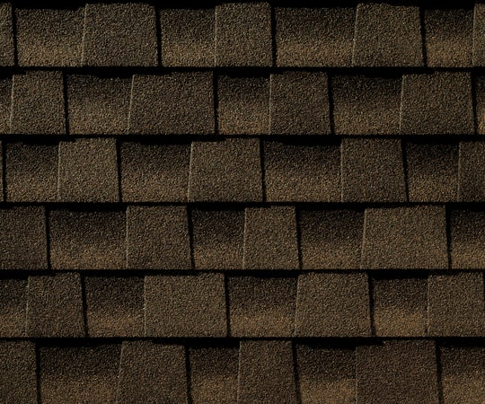 Dark brown singles up-close